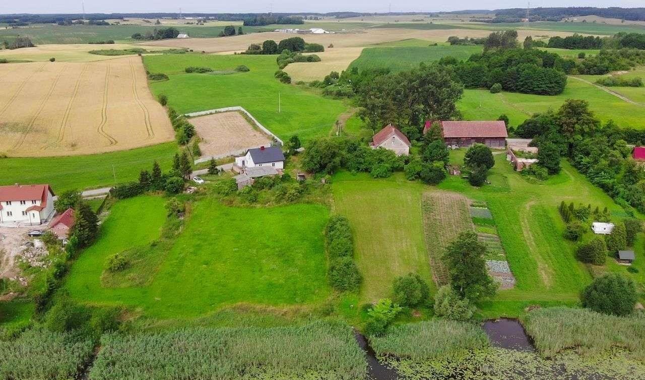 Działka rolna na sprzedaż Długochorzele  3 000m2 Foto 10