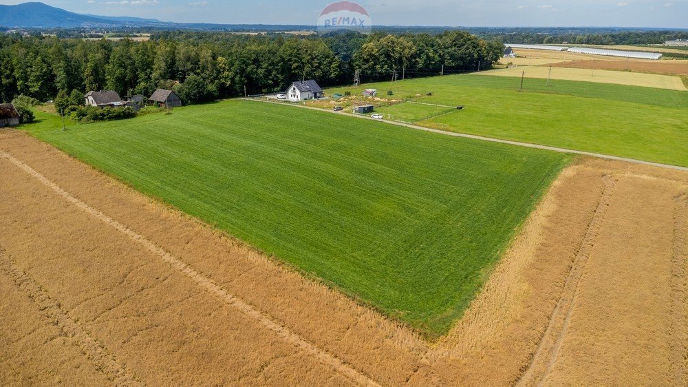 Działka rolna na sprzedaż Nidek, Różana  14 791m2 Foto 10