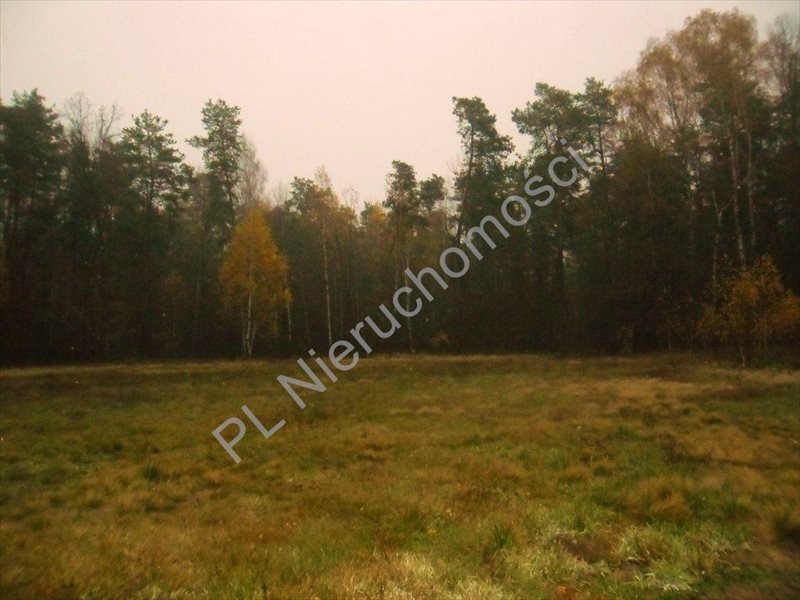 Działka rolna na sprzedaż Rososz 13 000m2 Foto 1 Działka rolna na sprzedaż Rososz 13 000m2 Foto 1