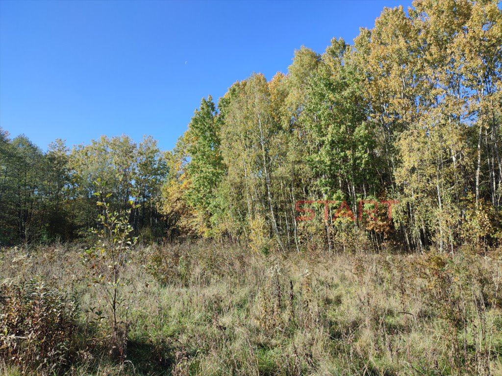 Działka budowlana na sprzedaż Adamów-Parcel  20 800m2 Foto 11