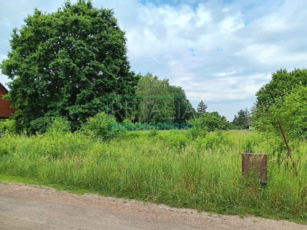 Działka budowlana na sprzedaż Żółwin  1 000m2 Foto 4