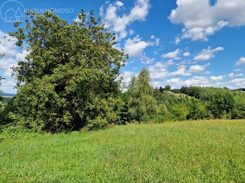 Działka budowlana na sprzedaż Turza  1 063m2 Foto 11