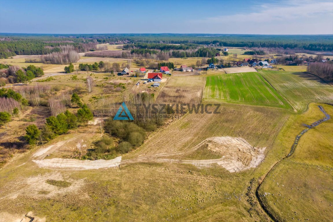 Działka rolna na sprzedaż Kurcze  6 548m2 Foto 3