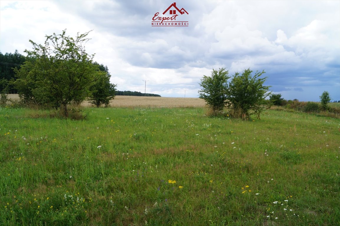 Działka rolna na sprzedaż Tchórzanka  58 000m2 Foto 2