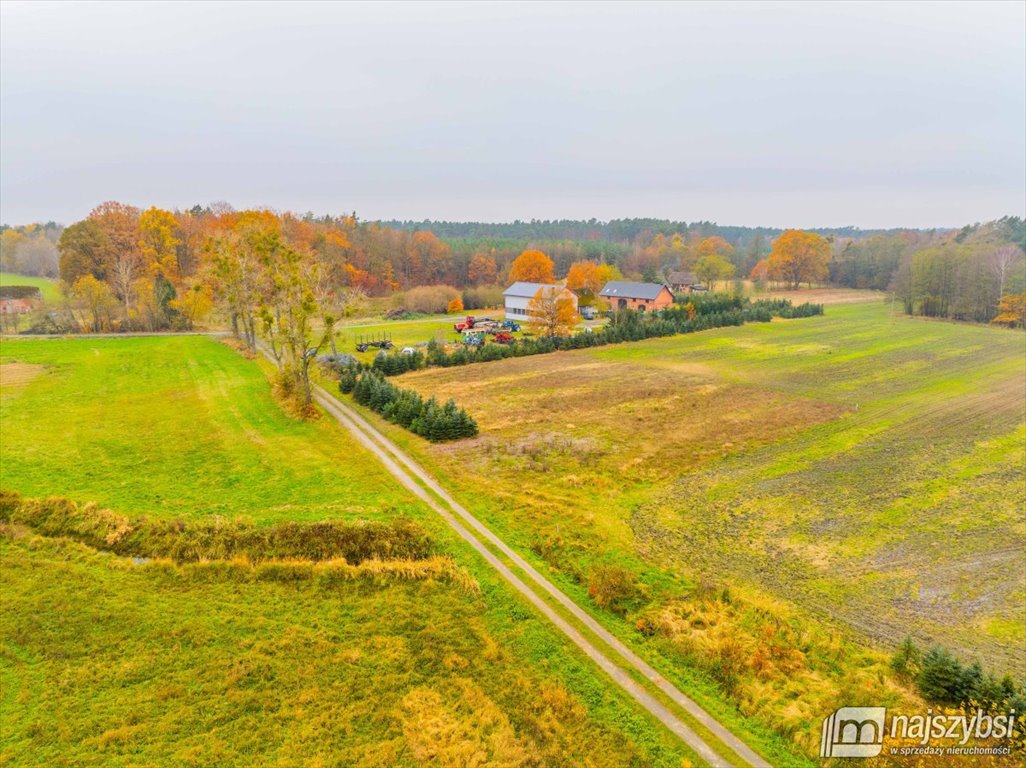 Działka budowlana na sprzedaż Węgorza, Wieś  1 557m2 Foto 5