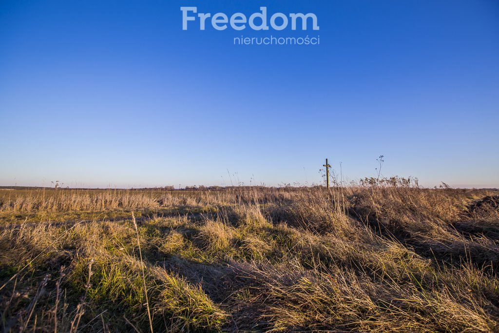 Działka rolna na sprzedaż Stare Miasto  10 900m2 Foto 6