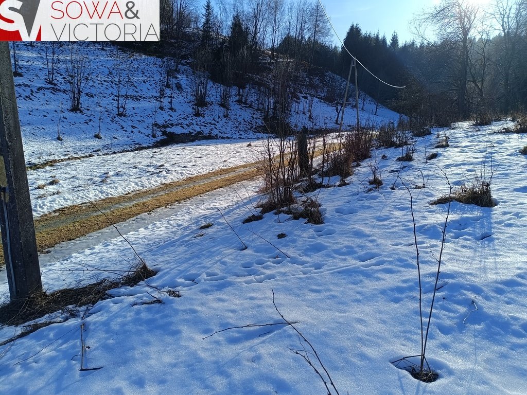 Działka budowlana na sprzedaż Bartnica  1 850m2 Foto 4