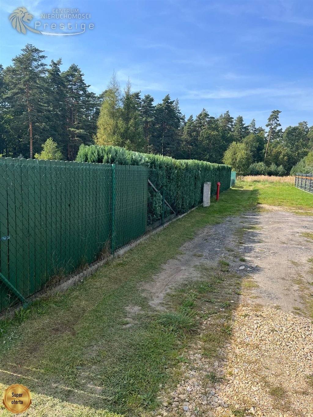 Działka budowlana na sprzedaż Mikołeska  1 900m2 Foto 10