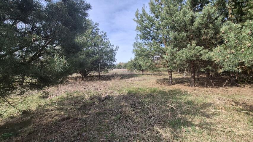 Atrakcyjna działka budowlana 1000 m² z mediami i dobrym dojazdem Dobiesz, Dobiesz  1 000m2 Foto 1