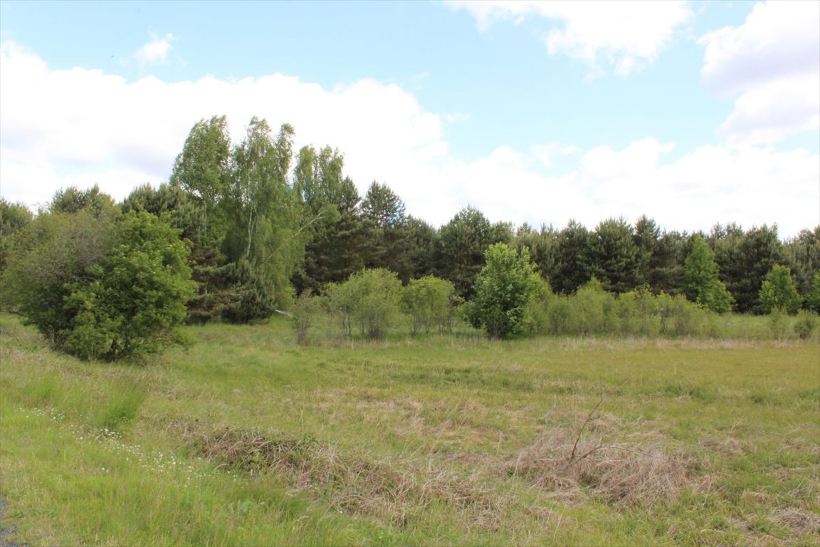 Działka rolna na sprzedaż Jodłów  3 000m2 Foto 1