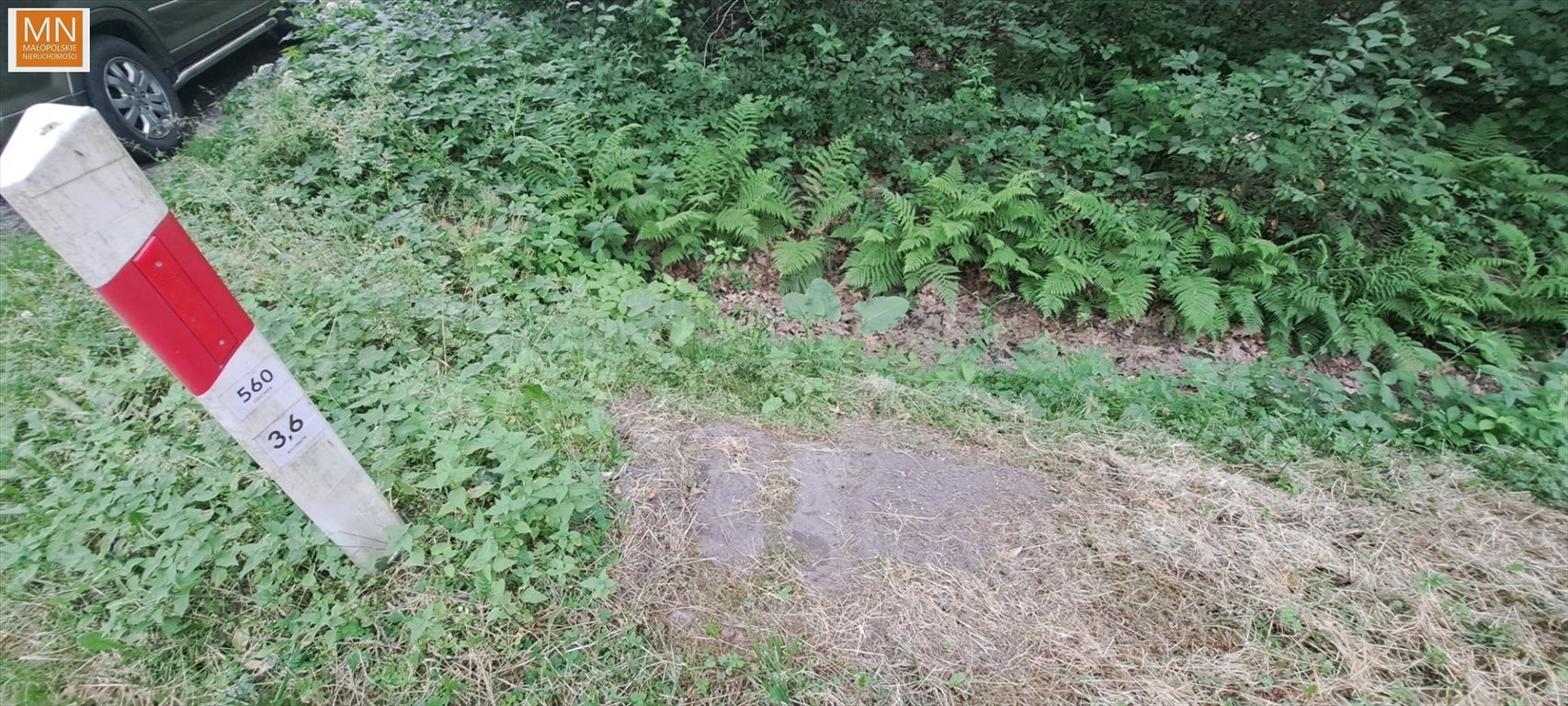 Zdjęcie 5