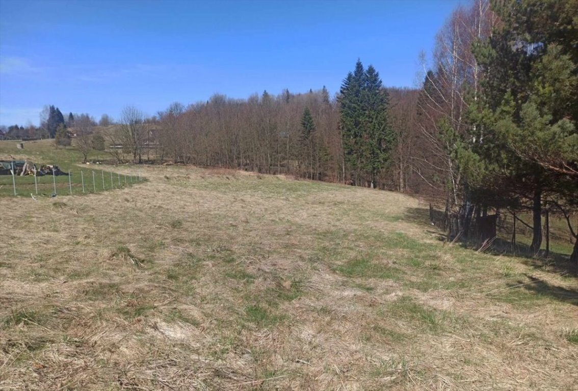 Działka budowlana na sprzedaż Laliki  3 347m2 Foto 14