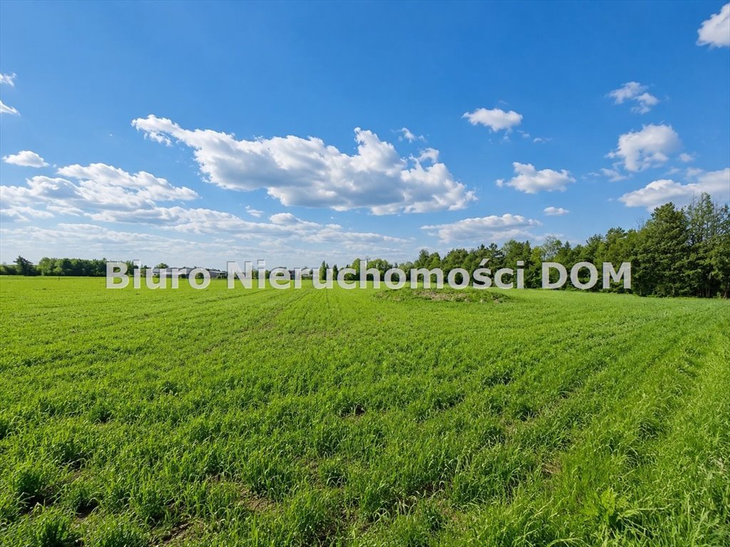 Sprzedam działkę 9 365 m² w Cielętnikach z MPZP na zabudowę domową Cielętniki  9 365m2 Foto 1