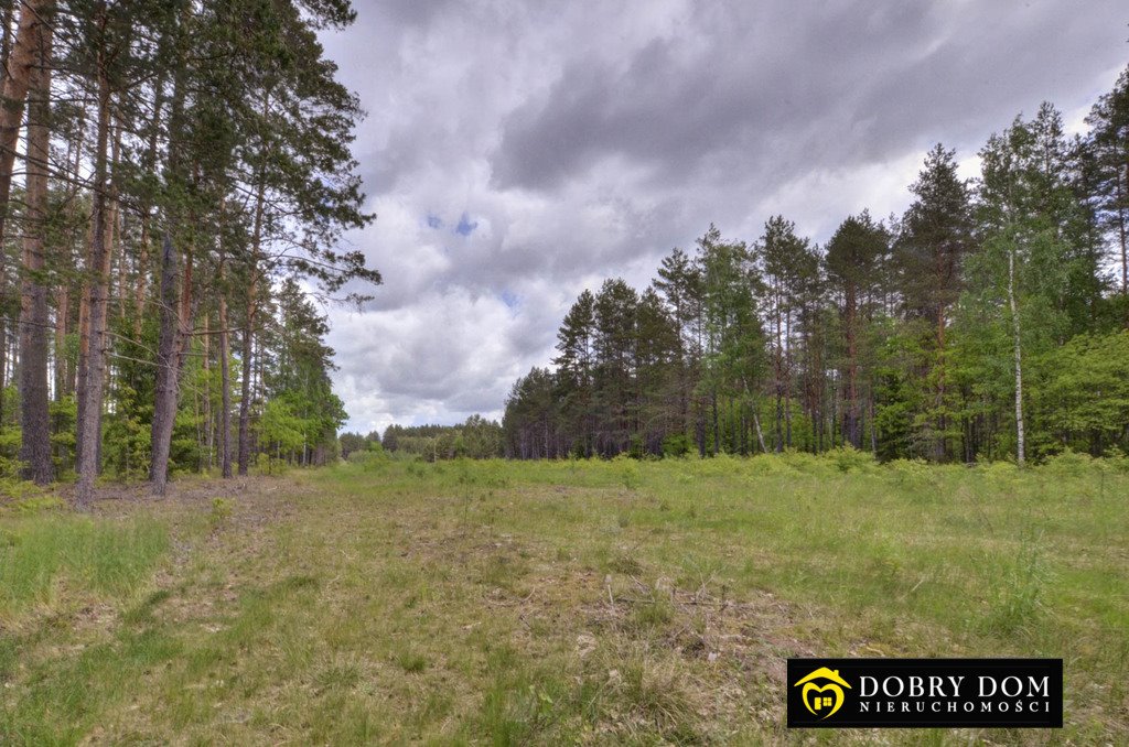 Zapraszam do zakupu działki 1,82 ha nad Kanałem Augustowskim Rudawka  18 200m2 Foto 1