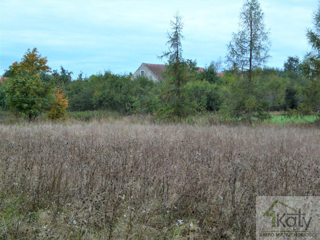 Działka 3556 m² z dostępem do drogi i uzbrojeniem Samolubie  3 556m2 Foto 1