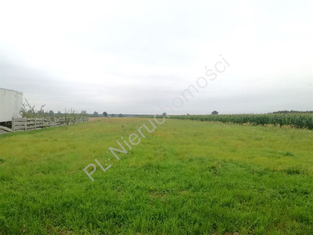 Działka rolna z warunkami zabudowy, 1,24 ha, prywatność Pniowe  12 400m2 Foto 1