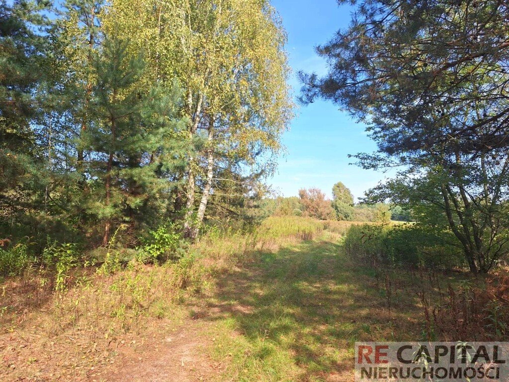 Działka rolna na sprzedaż Wojcieszyn  1 000m2 Foto 3