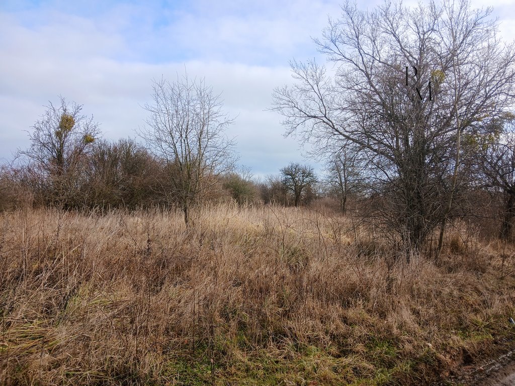 Działka budowlana na sprzedaż Piskorzyna  2 296m2 Foto 5