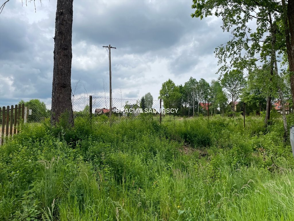 Działka budowlana na sprzedaż Olszowice, Do Dworu  600m2 Foto 3