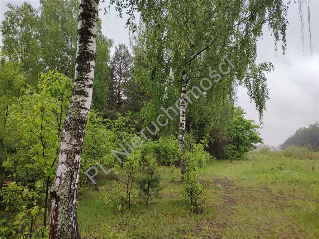 Działka budowlana na sprzedaż Wycinki Osowskie  1 243m2 Foto 1