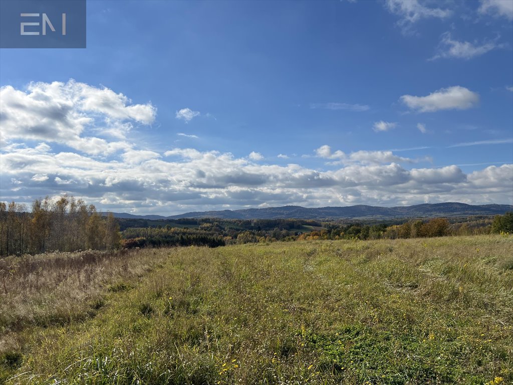 Działka budowlana na sprzedaż Gbiska  4 600m2 Foto 6