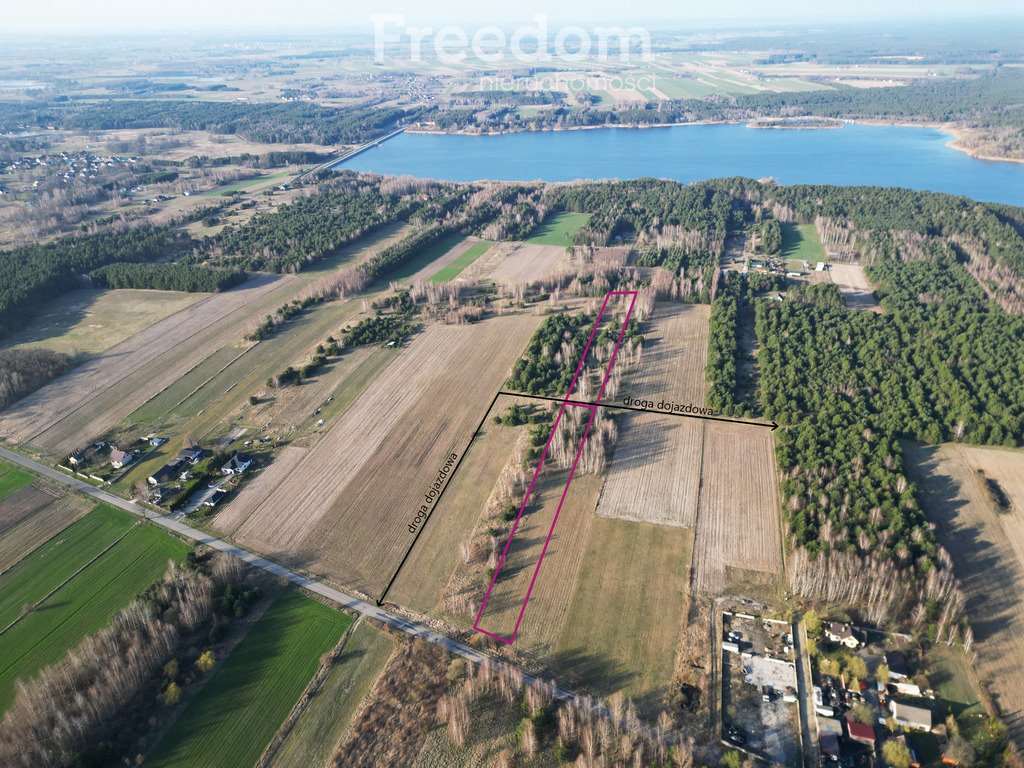 Działka budowlana na sprzedaż Daniszewice  9 885m2 Foto 1