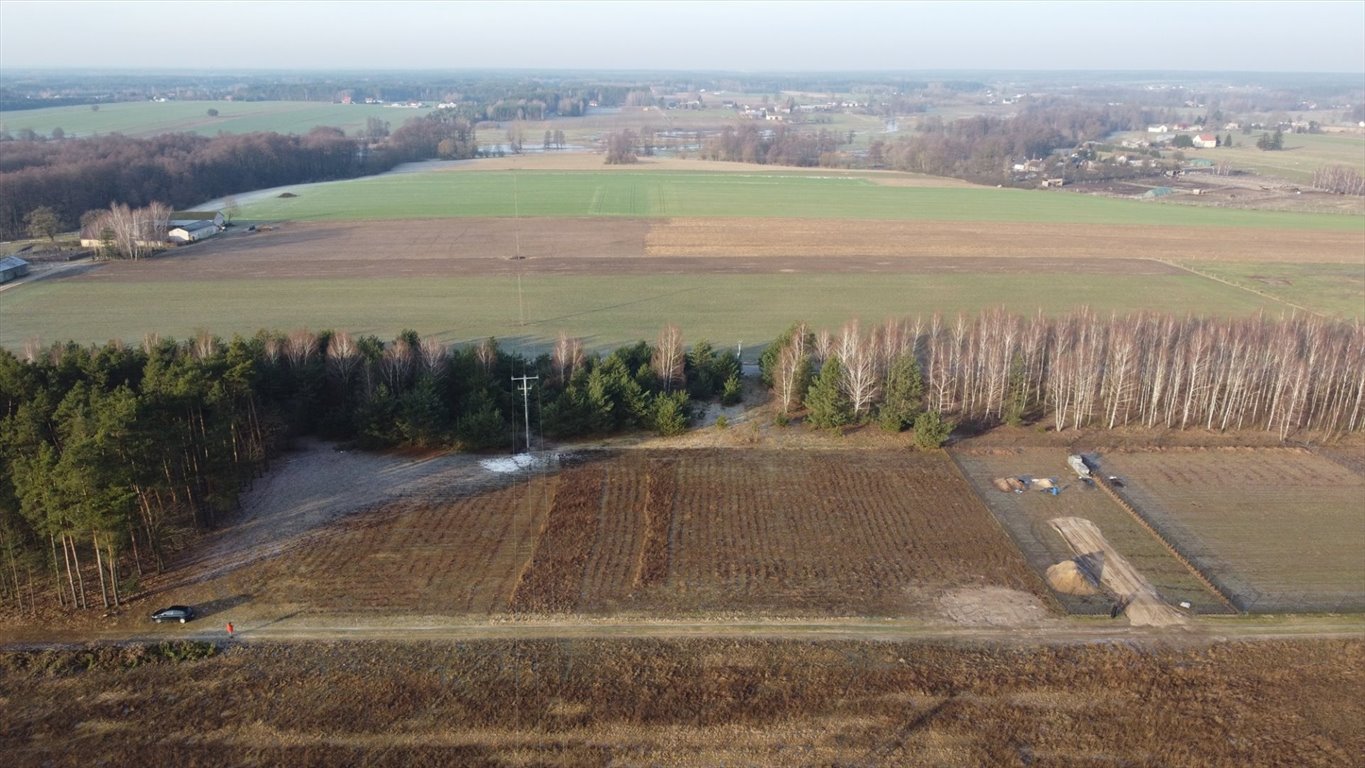 Działka rolna na sprzedaż Henrykowo  3 000m2 Foto 15