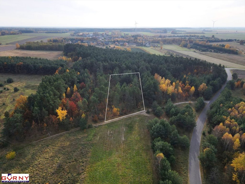 Działka inna na sprzedaż Cieszanowice  2 650m2 Foto 3