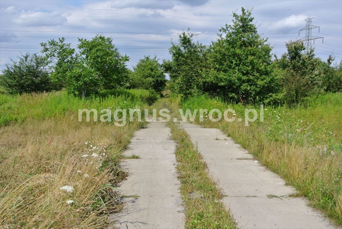 Działka rolna na sprzedaż Wrocław, Psie Pole, Kowale, boczna Lechitów  4 032m2 Foto 9