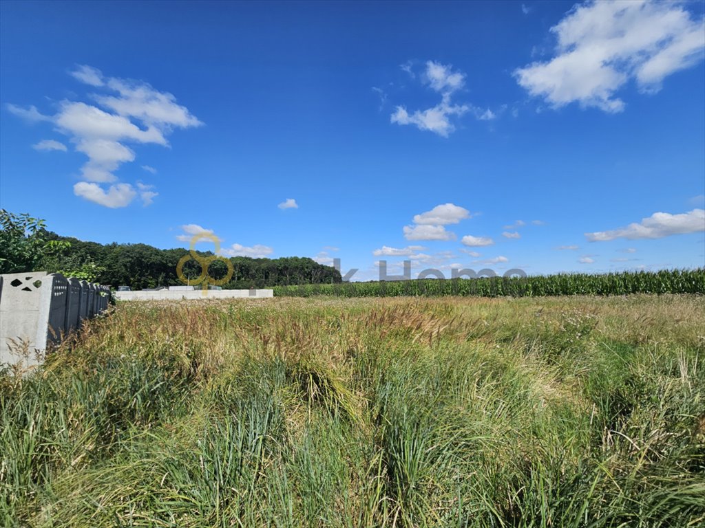 Działka budowlana na sprzedaż Bonikowo  696m2 Foto 1