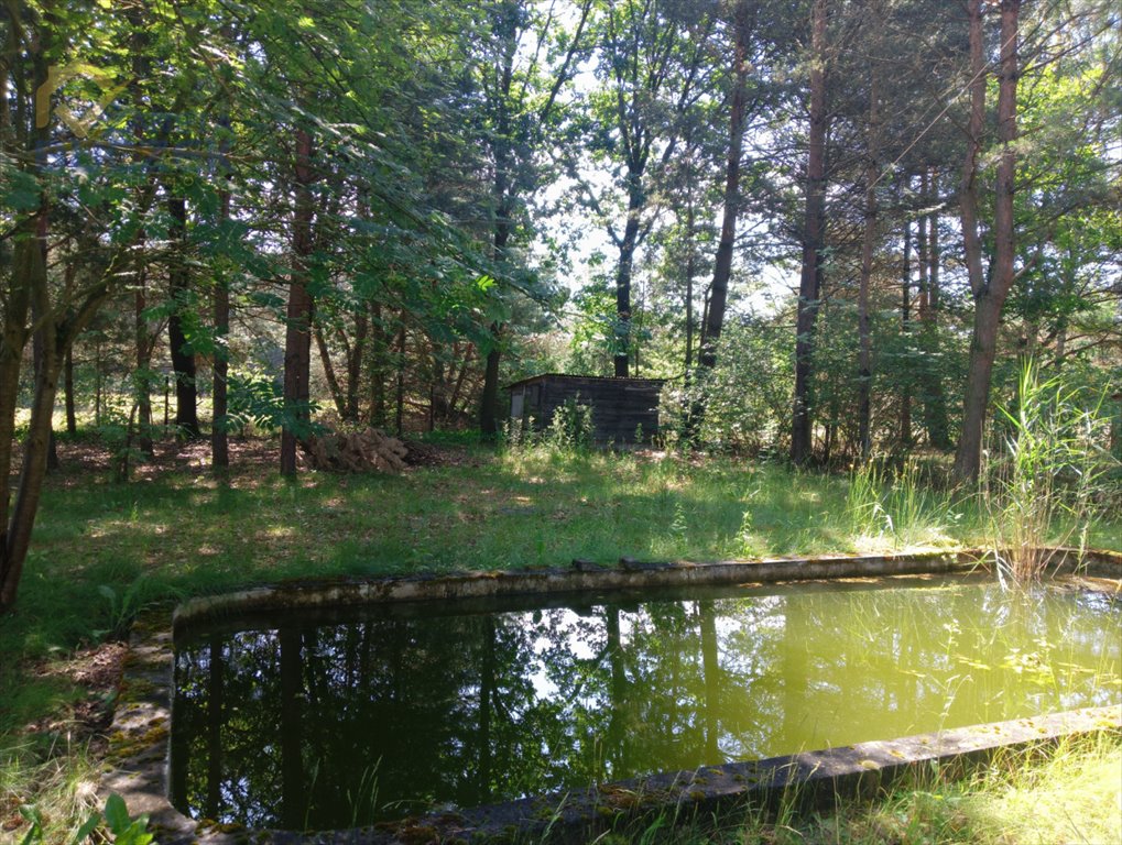 Dom na sprzedaż Sianno  70m2 Foto 7