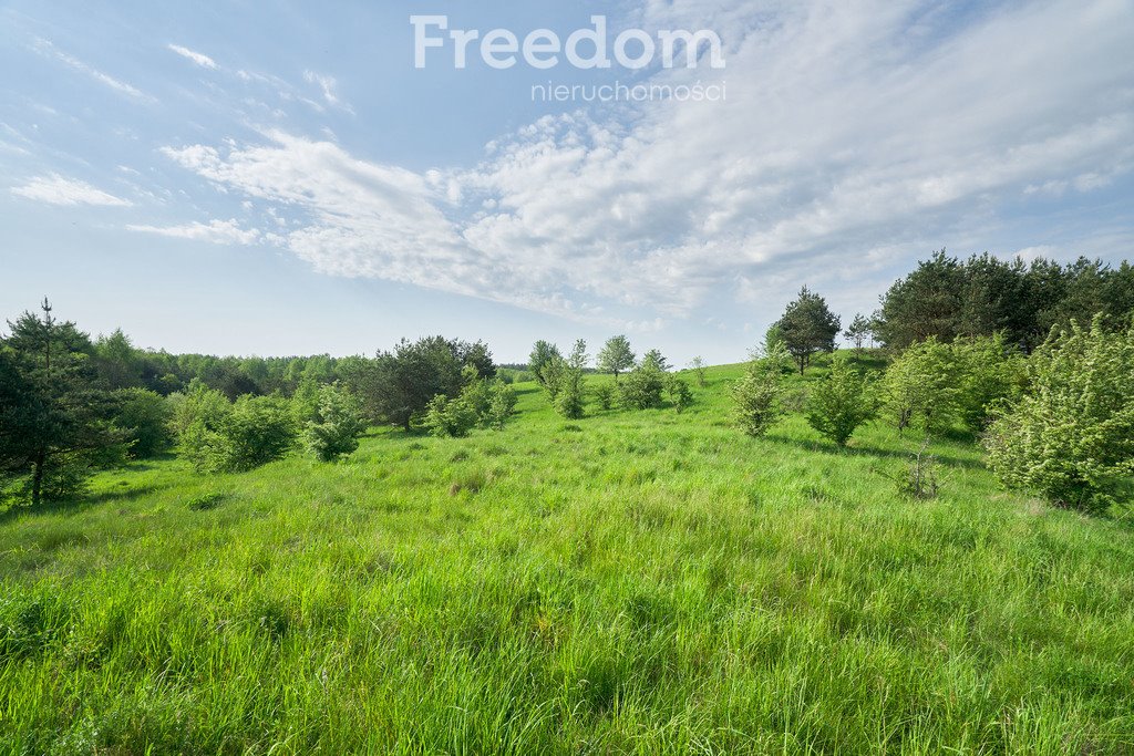 Działka budowlana na sprzedaż Kosewo  12 500m2 Foto 12