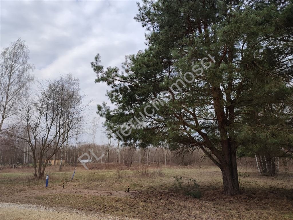 Działka budowlana 3000 m² pod lasem z mediami i planem Radonie  3 000m2 Foto 1