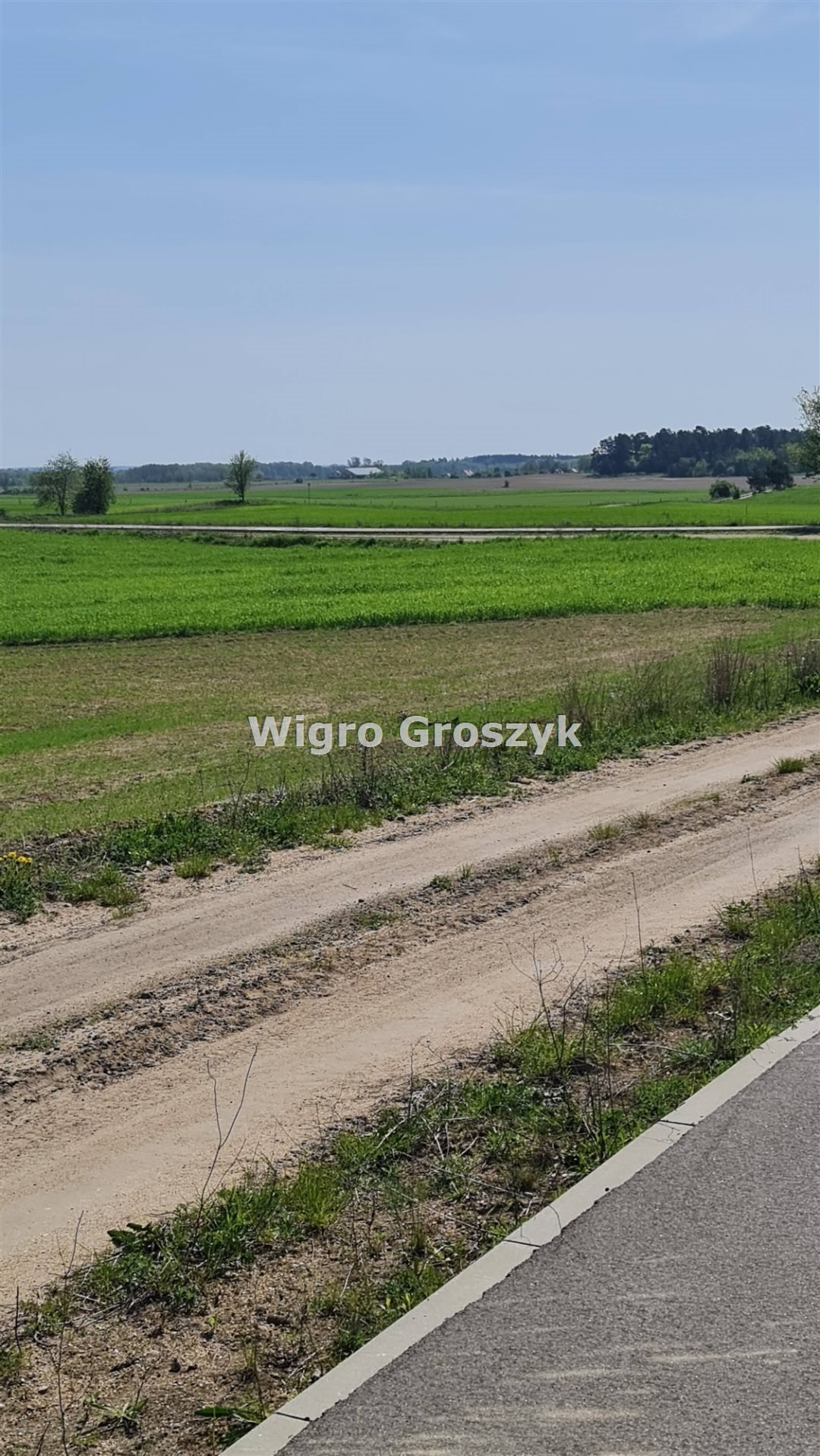 Działka rekreacyjna na sprzedaż Kwik, Kwik  3 000m2 Foto 8