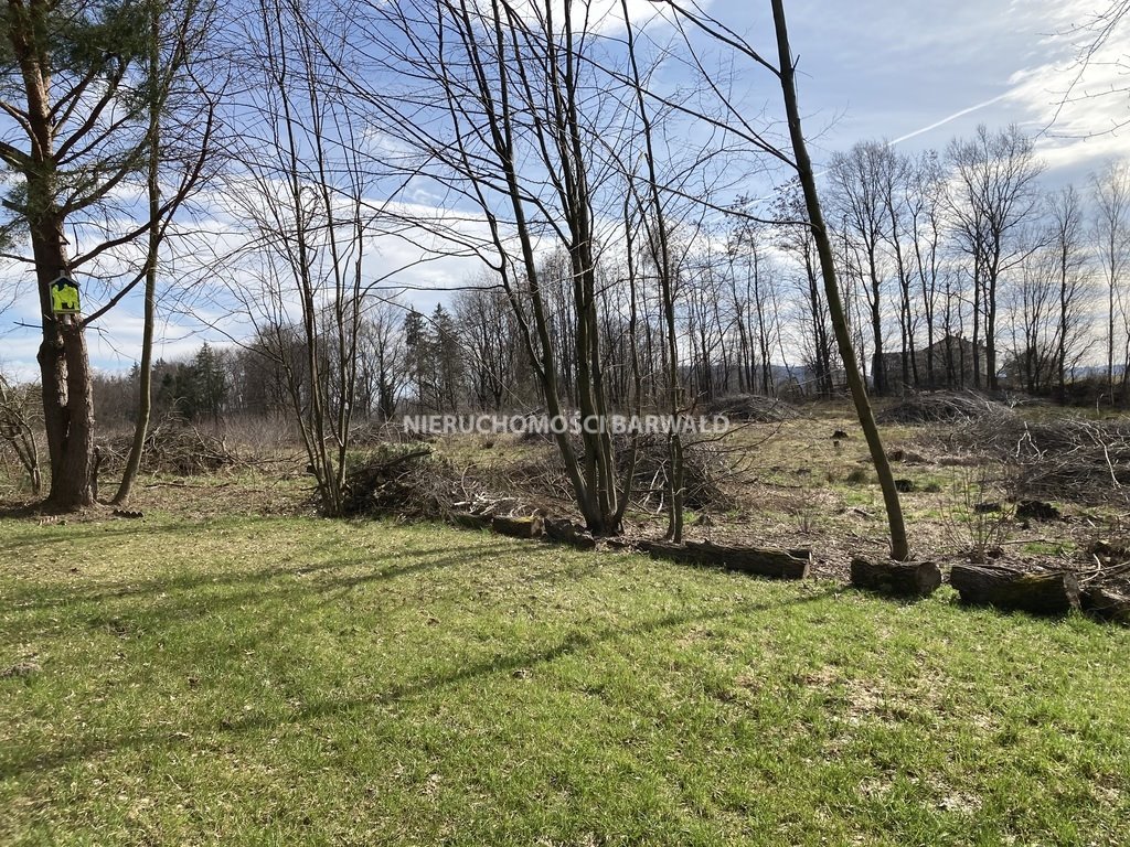 Działka budowlana na sprzedaż Kalwaria Zebrzydowska  16 000m2 Foto 2