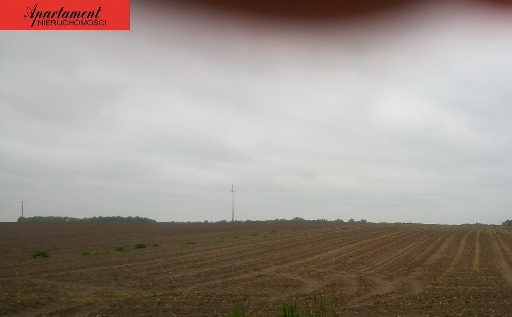 Działka inna na sprzedaż Jabłkowo 60 000m2 Foto 1 Działka inna na sprzedaż Jabłkowo 60 000m2 Foto 1