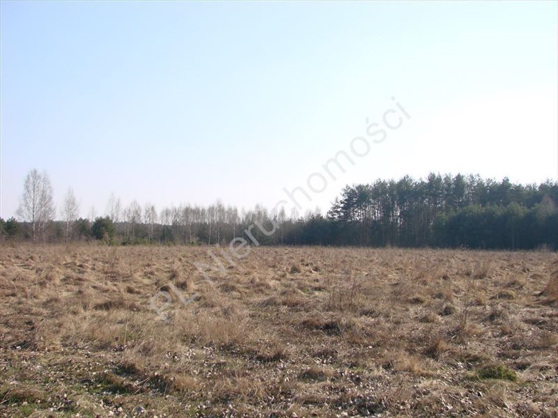 Działka inna na sprzedaż Piotrkowice  30 850m2 Foto 10