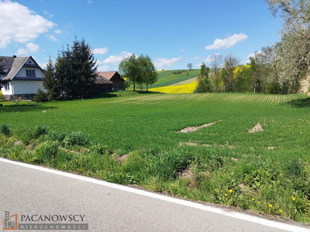 Działka 3,15 ha z MPZP, media, dojazd asfaltowy Kacice  31 494m2 Foto 1