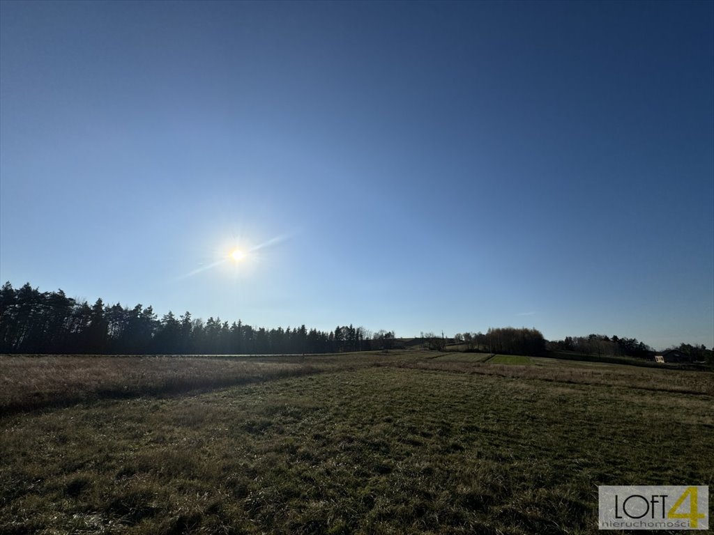 Działka budowlana na sprzedaż Polichty  3 000m2 Foto 8