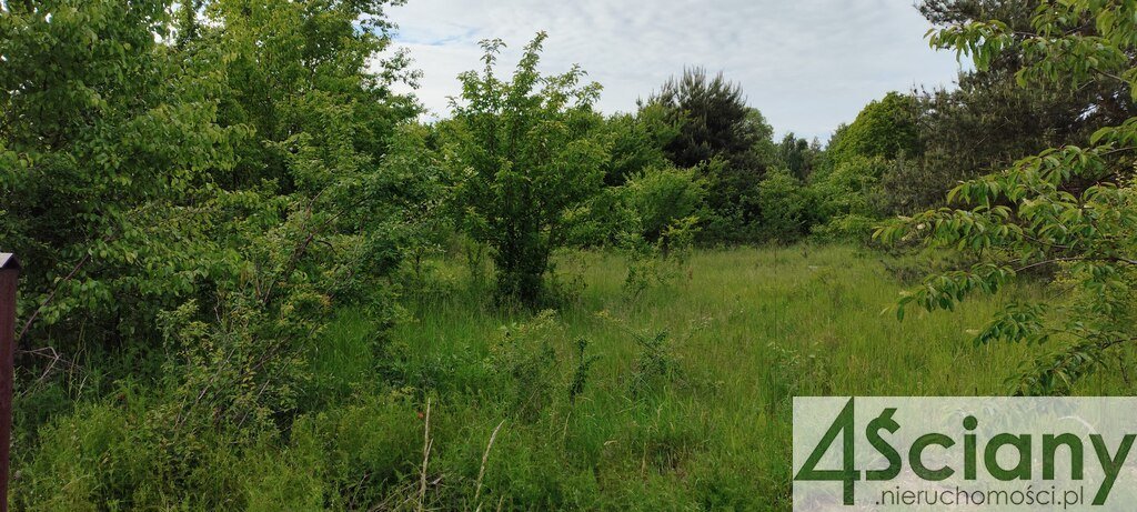 Działka budowlana na sprzedaż Rusiec  1 650m2 Foto 1