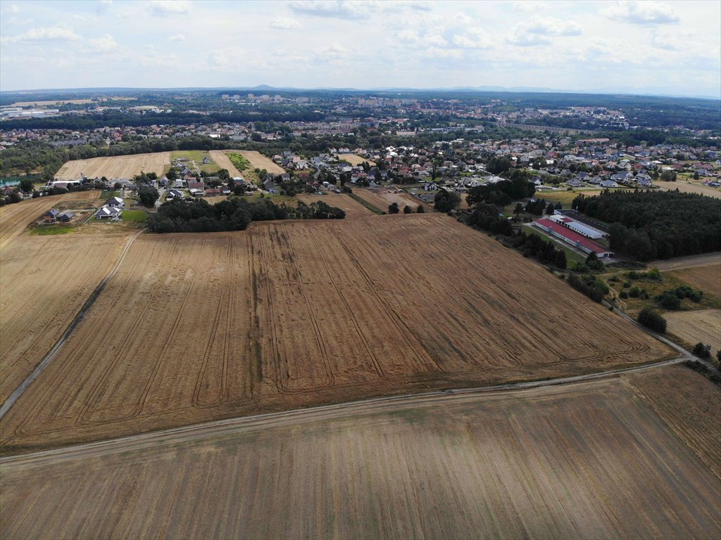 Działka rolna na sprzedaż Bolesławice  20 419m2 Foto 2