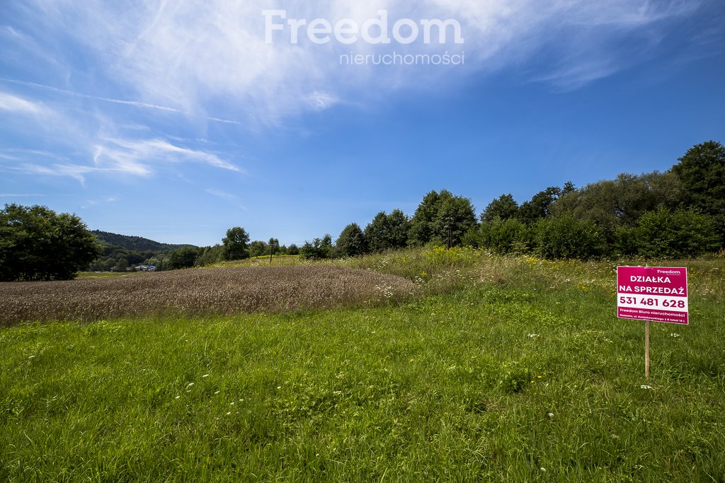 Działka rolna na sprzedaż Cieszyna  9 593m2 Foto 1