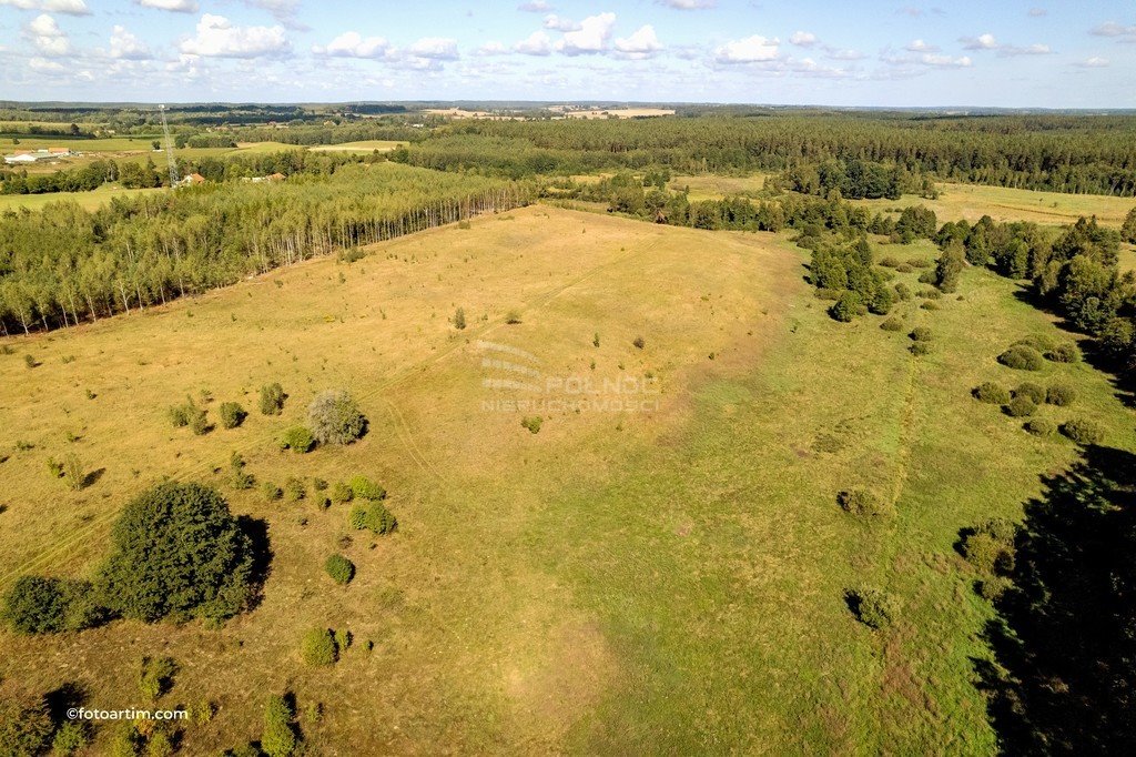 Działka rolna na sprzedaż Elganowo  123 500m2 Foto 2