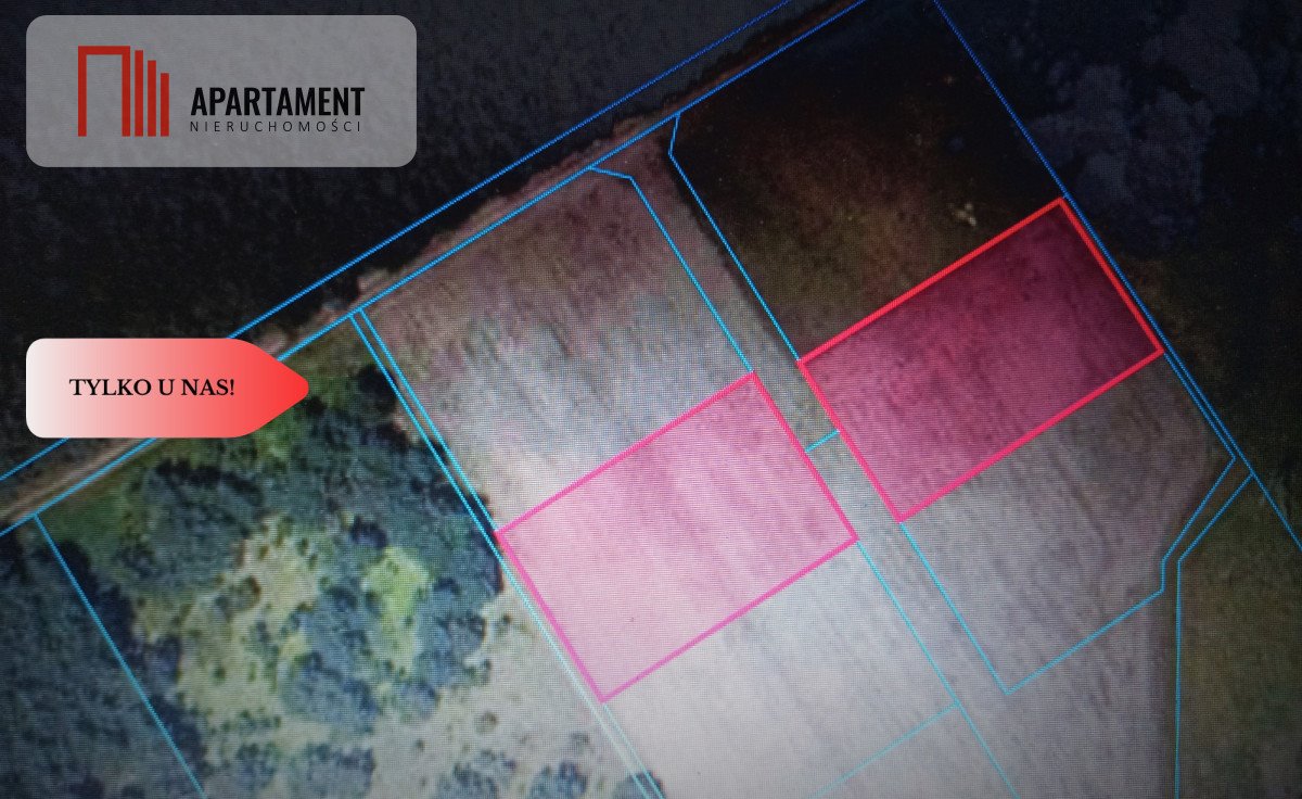 Działka z lasem, spokojna okolica, 963 m2, Lubiewice Lubiewice  963m2 Foto 1