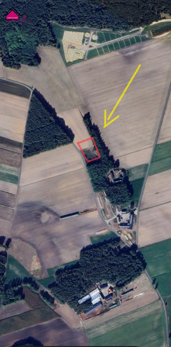 Działka z lasem i WZ pod dom i pasiekę - polecam! Lisiec Mały  3 147m2 Foto 1