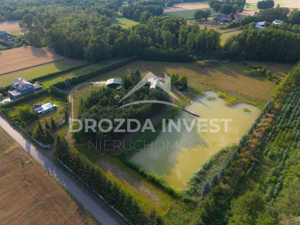 Działka budowlana na sprzedaż Nowe Krasnodęby  22 369m2 Foto 4