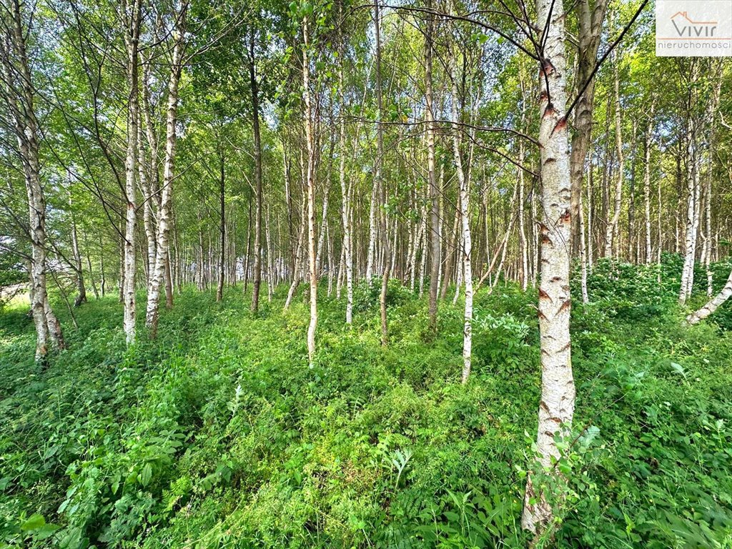 Działka inna na sprzedaż Rzuszcze  30 900m2 Foto 11