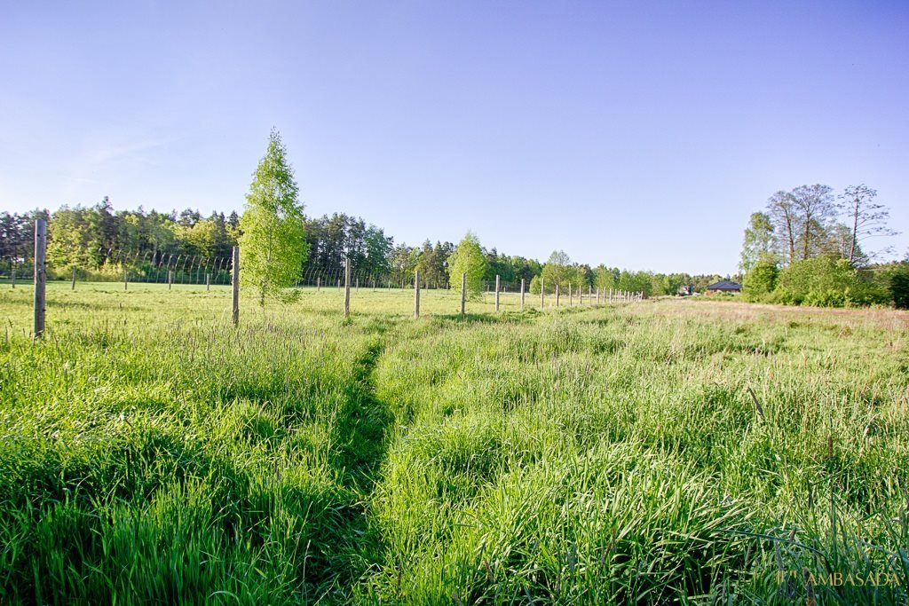 Działka 1059 m² pod dom i inwestycję - zapraszam Niewodnica Korycka  1 059m2 Foto 1