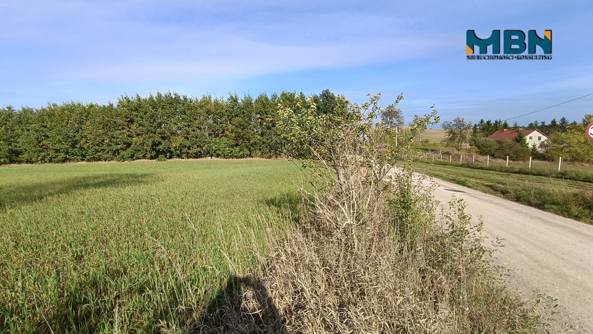 Działka budowlana na sprzedaż Giżycko, Grajwo  16 031m2 Foto 13