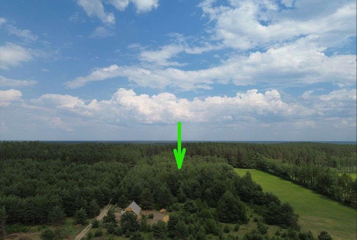 Działka rolna na sprzedaż Faryny  11 000m2 Foto 2